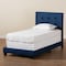 Baxton Studio Caprice Modern and Contemporary Glam Navy Blue Velvet Fabric Twin Size Panel Bed 183-11256-Zoro - alternate 6